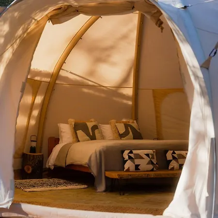 Lodge The Lazy T *