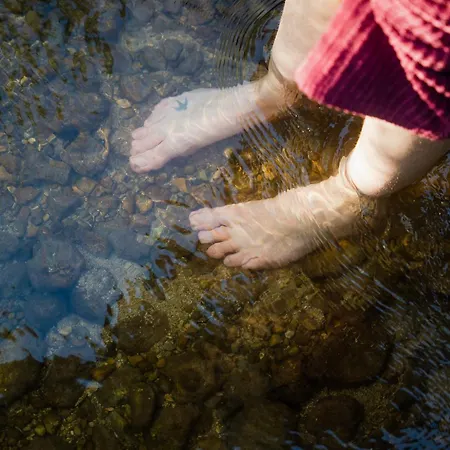Lodge The Lazy T York