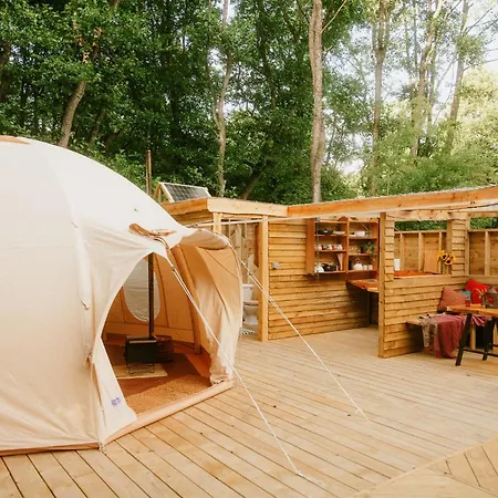 Lodge The Lazy T York